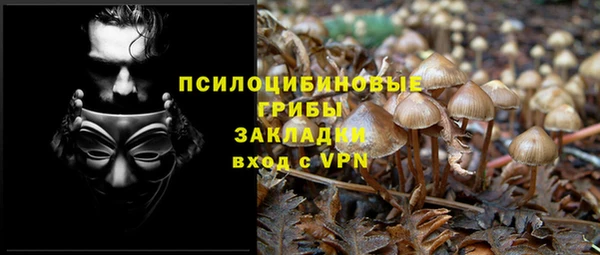 2c-b Баксан