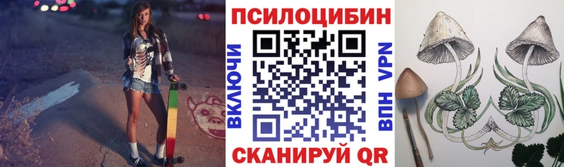Псилоцибиновые грибы MAGIC MUSHROOMS Светлогорск