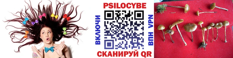 Псилоцибиновые грибы мухоморы  Светлогорск 